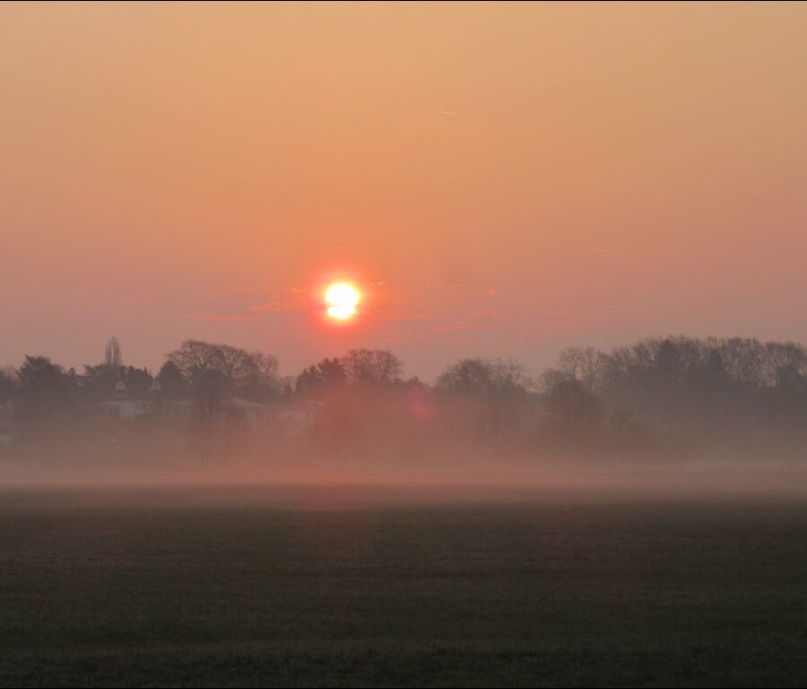 Sonnenaufgang im Wiesengrund