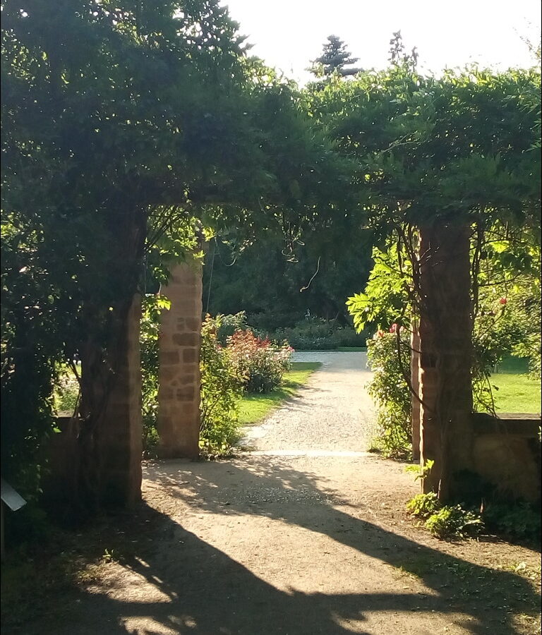 ohne Titel (Stadtpark)