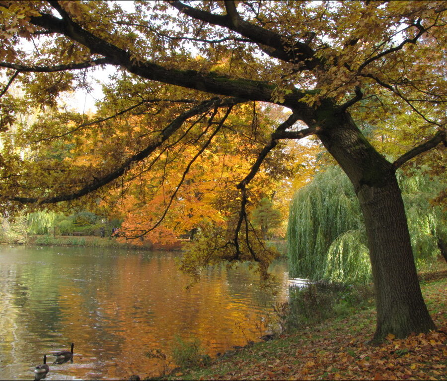 Herstlicher Fürther Stadtpark am kleinen Weiher