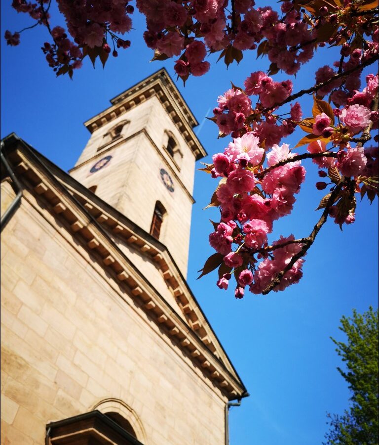 Frühling im Fürther Stadtpark mit unserer schönen Auferstehungskirche und Blumen Impression