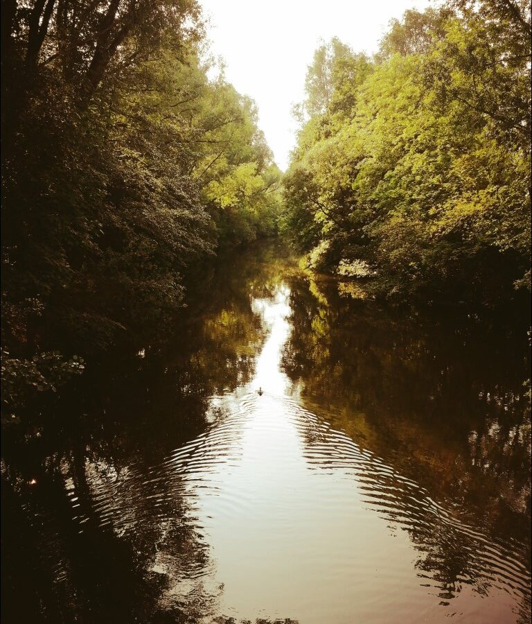 Stadtpark-Momente