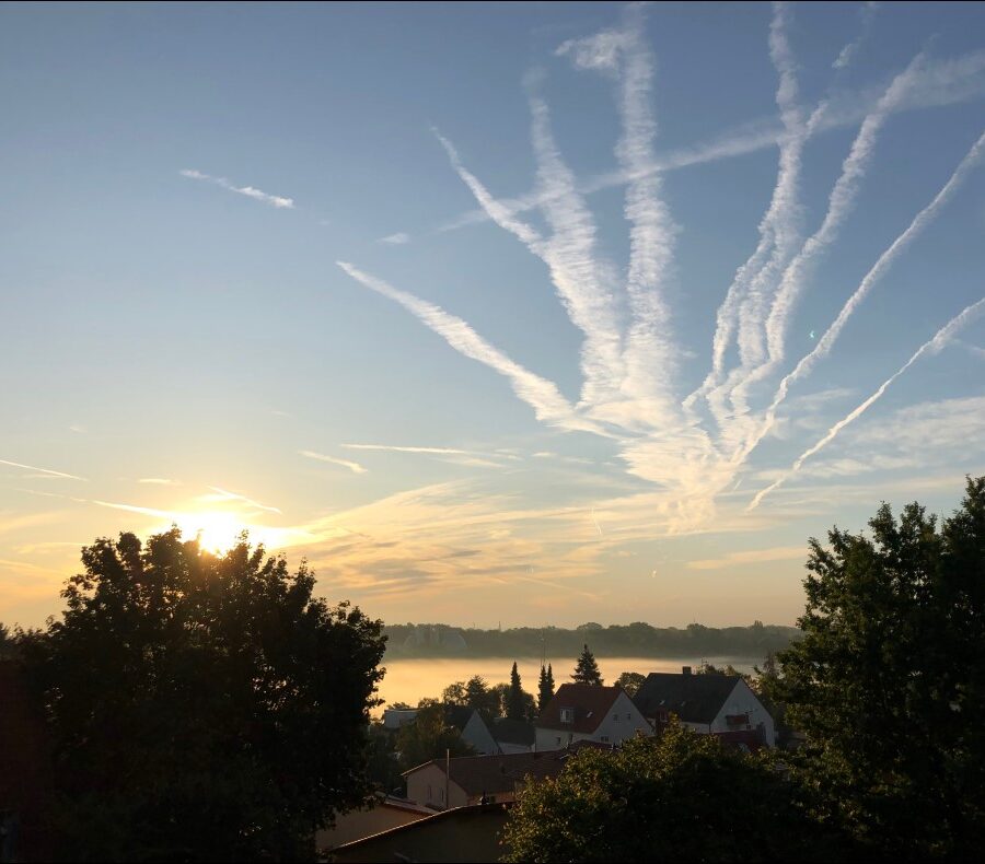 Sonnenaufgang am Wiesengrund